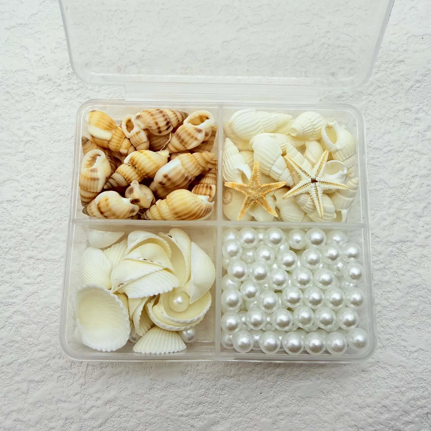 1 Box Natural Mixed Sea Shells Pearls Charms for Jewelry Making DIY Ocean Craft Aquarium Decor Candle Making Home Decor