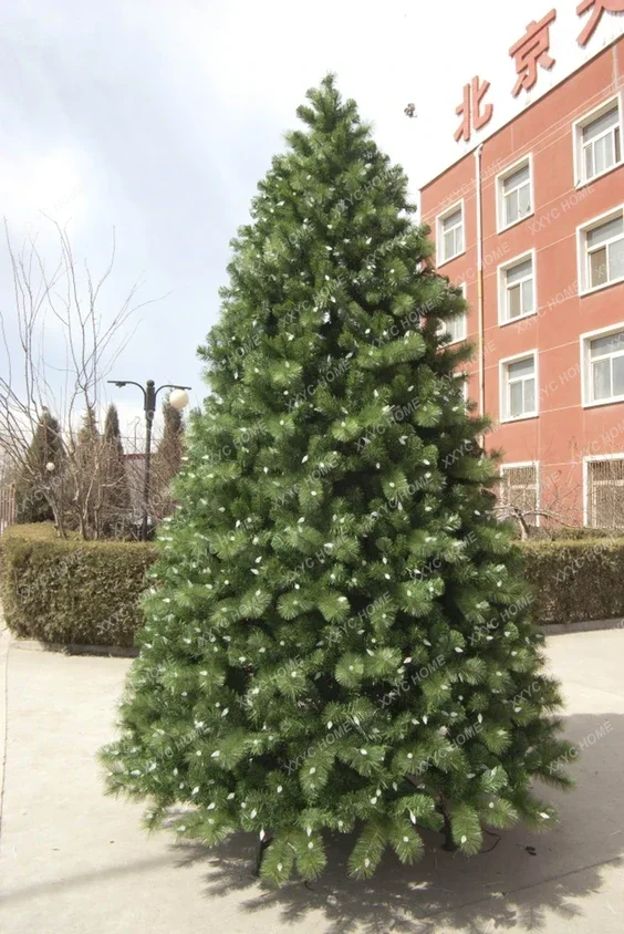 

Extra large Christmas tree encrypted frame outdoor Christmas tree, pine needles mixed with snow white frame Christmas tree