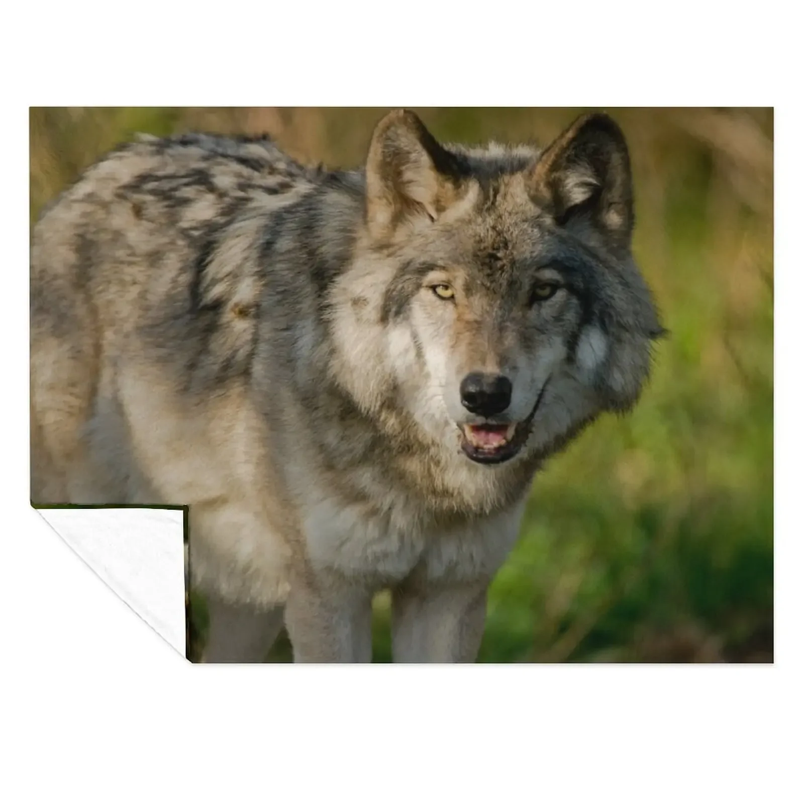 

Timber Wolf Throw Blanket Soft Plush Plaid Thins Blankets For Bed Soft Beds Blankets