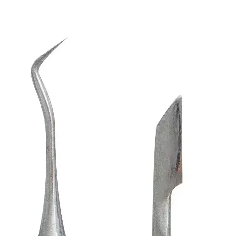 1set Double Ended Stainless Steel Dental Cleaner Tweezers Dental Care Probe Tools Dentistry
