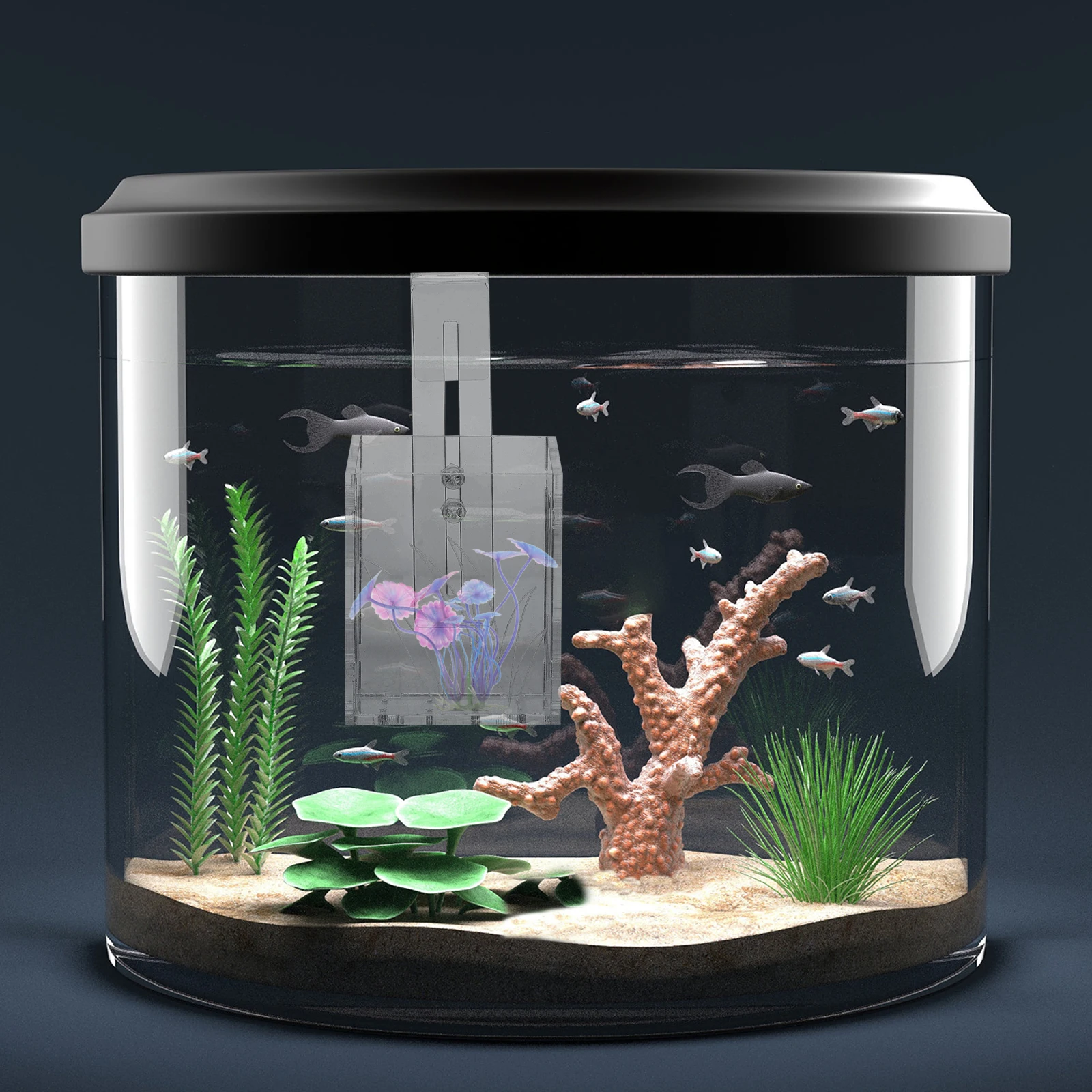 

Water Plant Cup Durable Reusable Acrylic Hook Design Promoting Photosynthesis Fish Tank Aquarium Planter Decorative Item Pet
