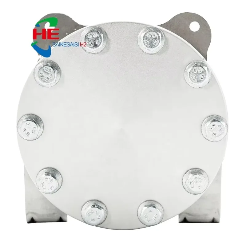 

Water And Electrolyzer Generator