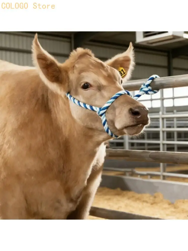 Daily Livestock Guiding Rope , Sliding-Fit Cattle Rope Gear in Blue White for Barn Handling, Simple Control, and Routine Farm