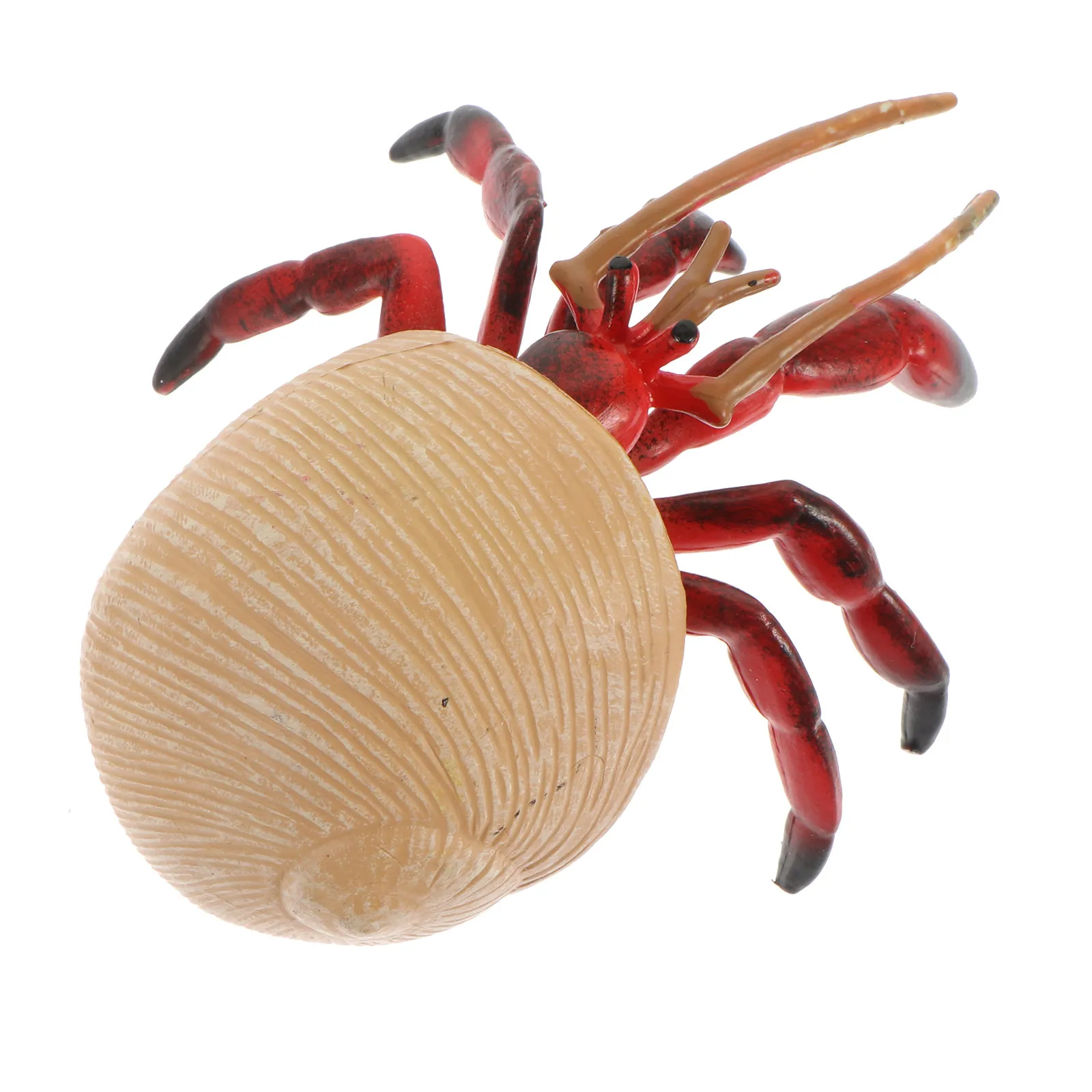 

Реалистичная пластиковая фигурка краба-отшельника: прочный, обучающий декор в виде морского животного для детских праздников, дома и детского сада