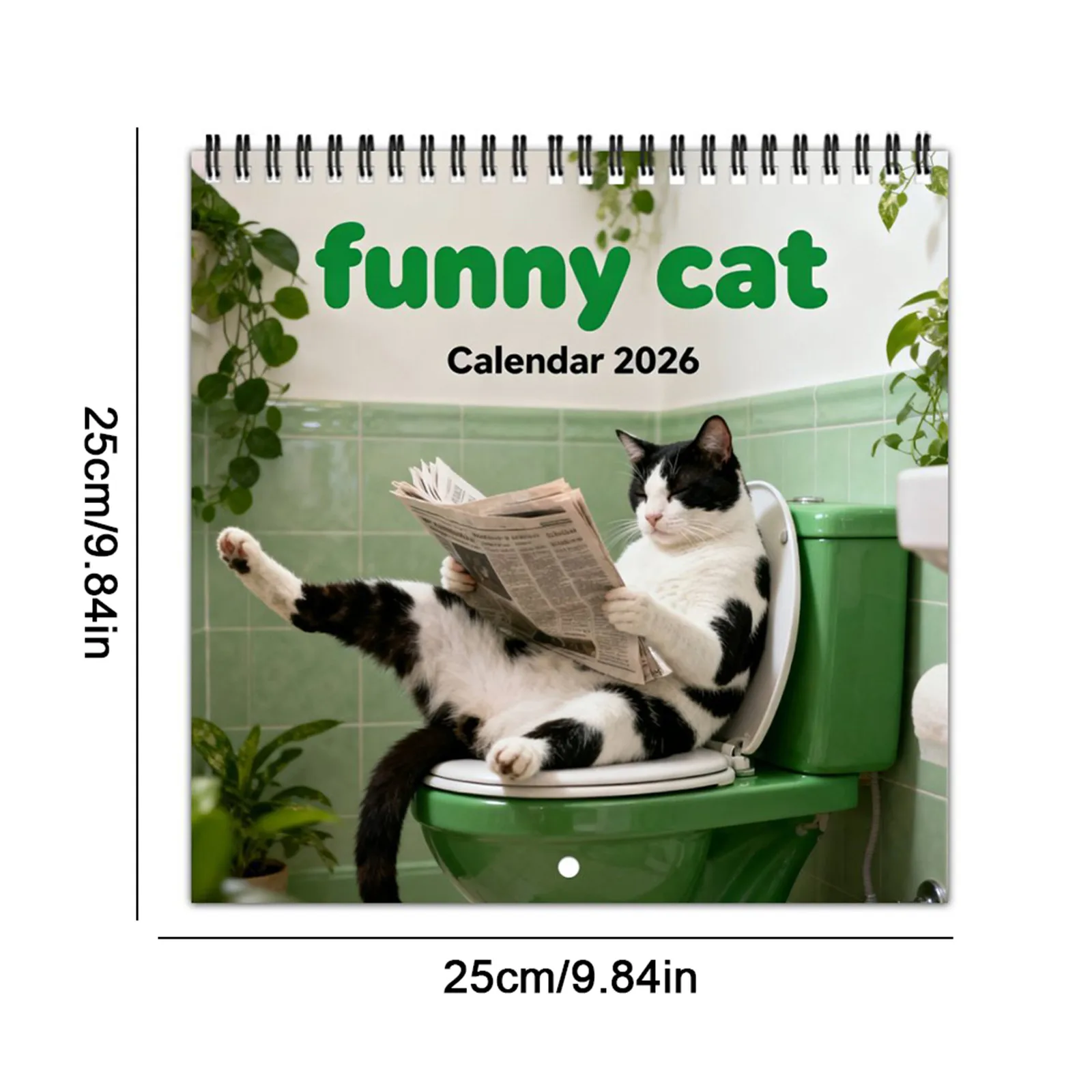 

2026 Wall Calendar Renaissance Style Medieval Cat Calendar 12 Months Calendar for Cat Lovers