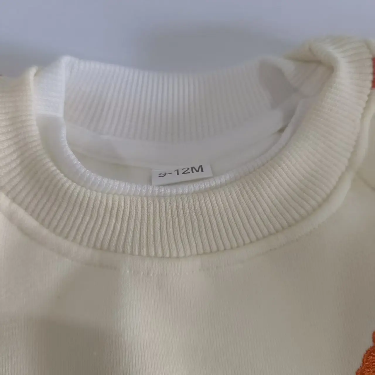 Infant Kids Fleece Tracksuit 2pcs Long Sleeve Pullover Sweatshirt Jogger Pants Cartoon Puppy Embroidery Side Stripe Warm Casual