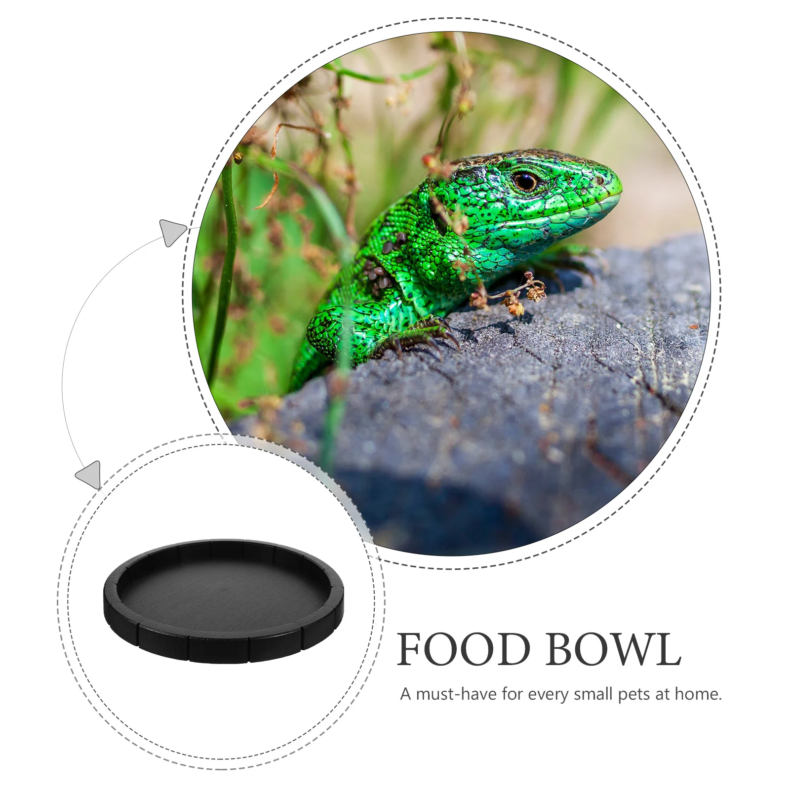 

2Pcs Heavy Duty Pet Food Bowl Scratch Resistant for Wet Dry Food Easy Wash Reptile Crawler Feeding Dish Pet Supplies