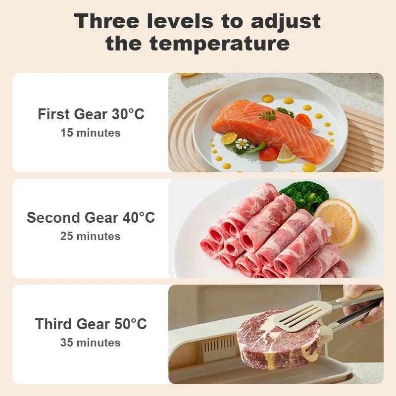 4 in 1 Quick Food Defrost Surface Thawing Machine Fresh Keeper Defrost