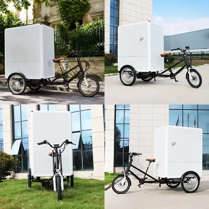 Minivan bicycle, quad bicycle, electric scooter, electric freight bicycle, tricycle, powerful electric express bicycle