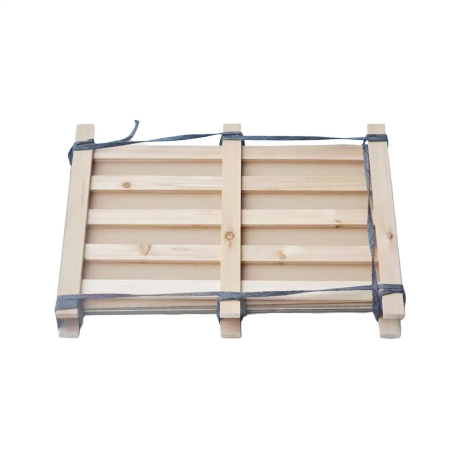 Plant Specimen Clip Wooden Easy Use Multiuse Specimen Holder Professional Leaves