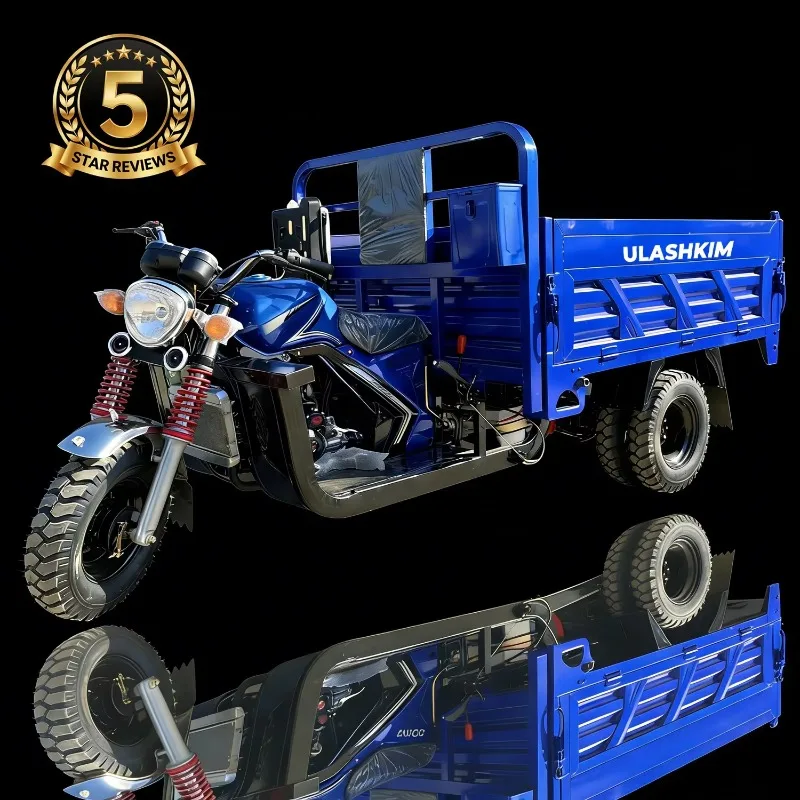 

Fat Tire Electric Tricycle 1000W 60V Open Body 3 Wheel Passenger 30Km/h Max Speed Electric Snow Tricycle Electric Tricycle