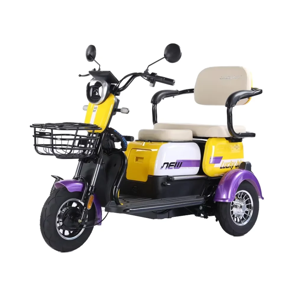 2025 New China Products for Sale Adult Electric Tricycle Electric Passenger Tricycle