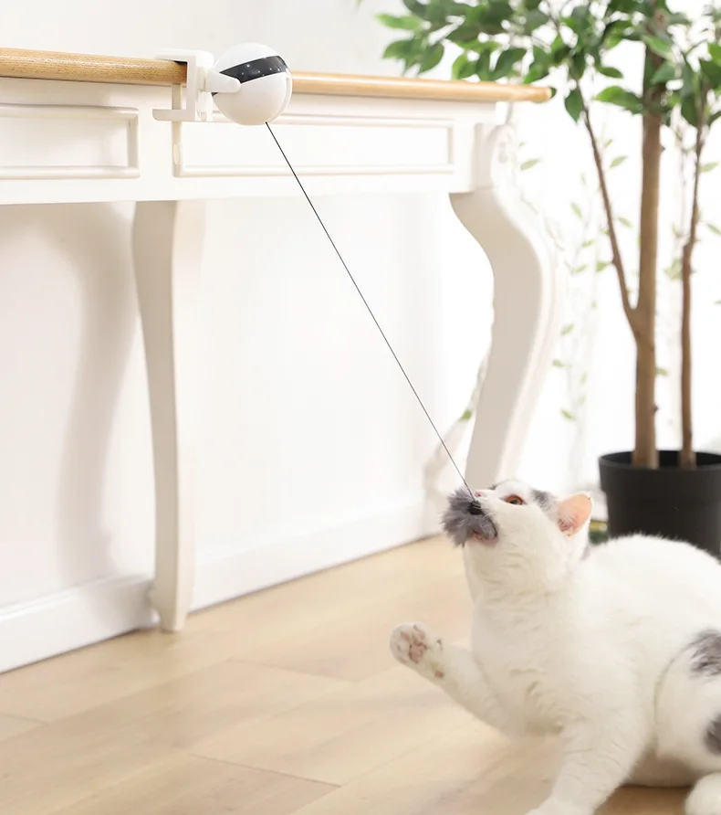 Indoor Cat Electric Cat Toy Electronic Lifting Ball Automatic Lifting Ball Retractable Rope Lifting Pompom Interactive Cat Educa