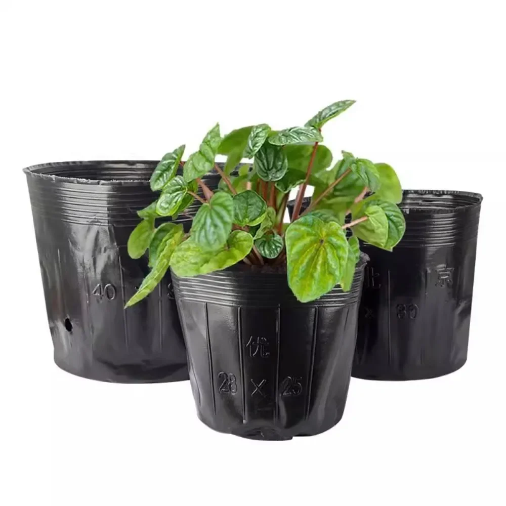 

Nutrition cup seedling cup nutrition pot seedling pot plastic thickening