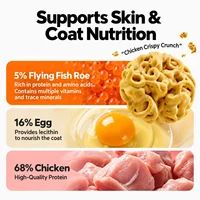 Crunchy Chicken Dog Biscuits Crispy Snack Bites for Puppies Small Dogs Training Treats and Pet Rewards 3