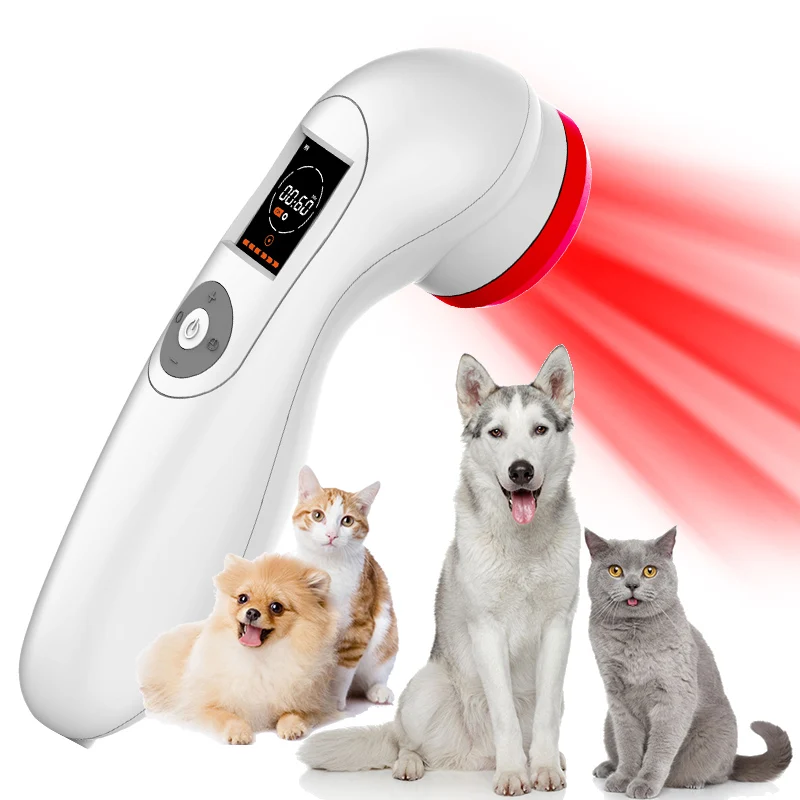 

Veterinary Laser Therapy Lllt Cold Laser 808nm Portable Class Iv Therapy Laser Device Pain For Horses Dogs