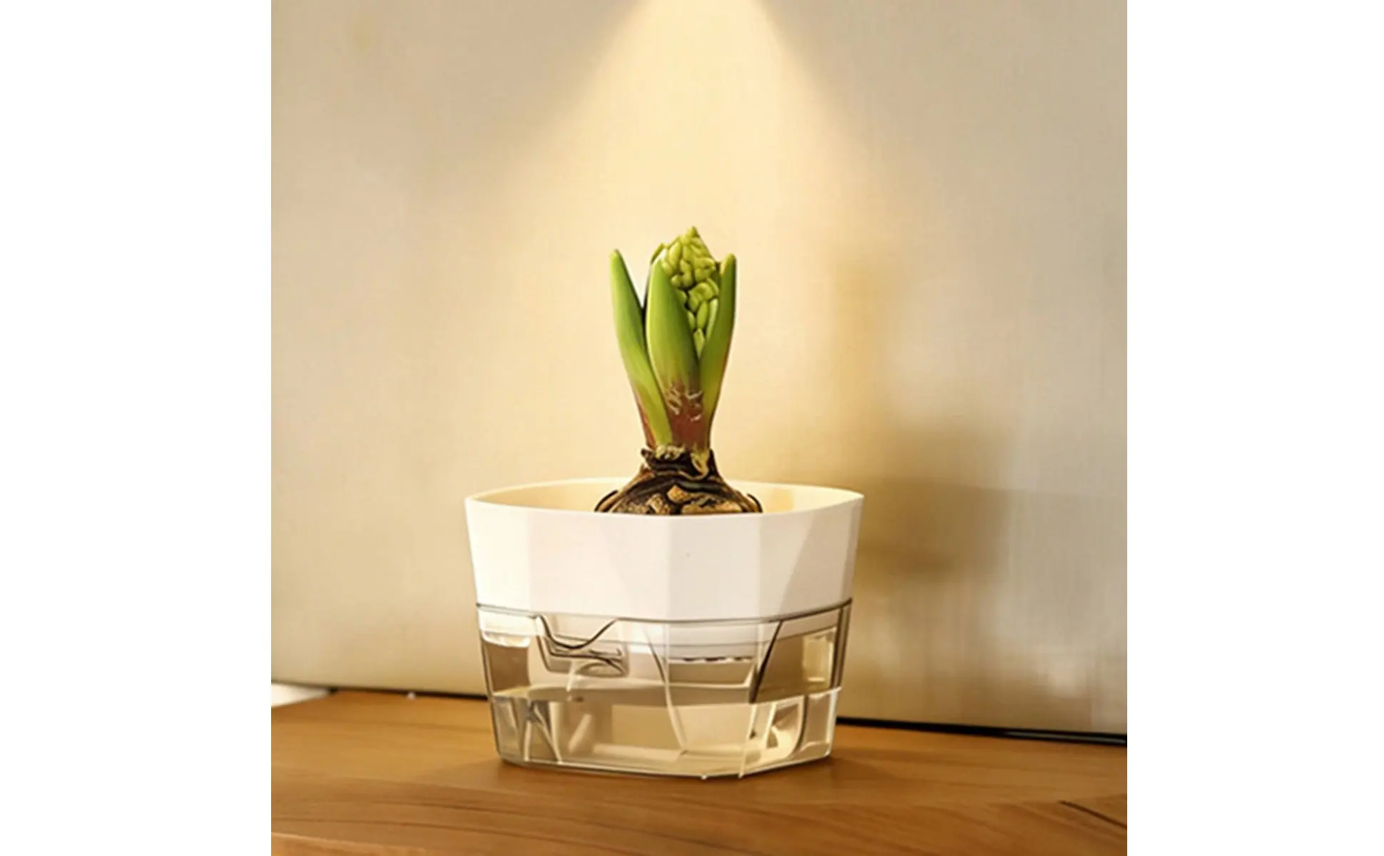 Hydroponic Bulb Vase 2-Tier Design Bulb Forcing Pot Automatic-Watering Planter Transparent Base Flower Pot for Plant Lovers Hydroponic Bulb Vase 2-Tier Design Bulb Forcing Pot Automatic-Watering Planter Transparent Base Flower Pot for Plant Lovers