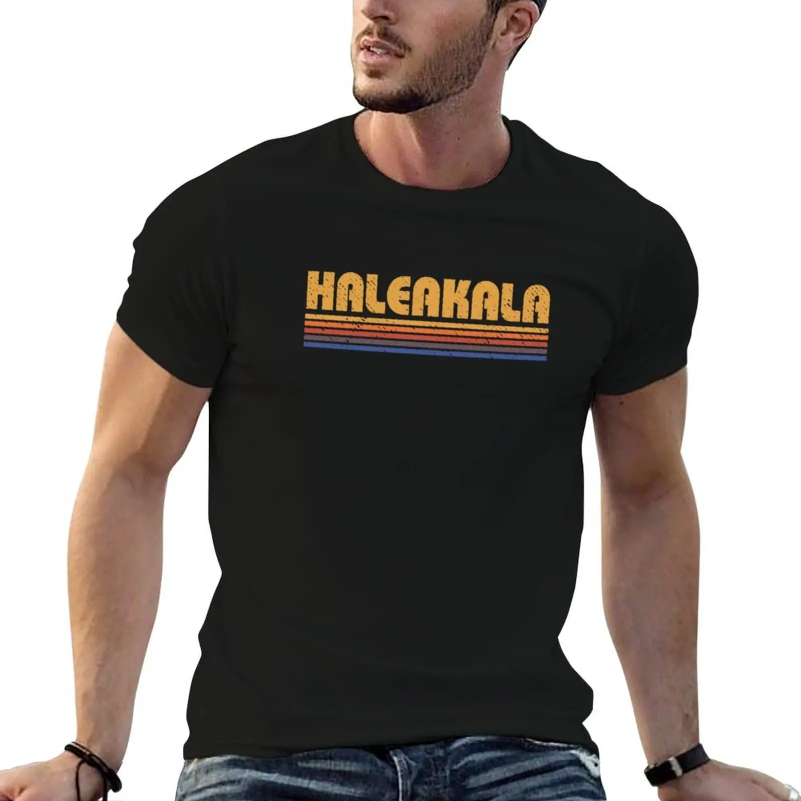 Retro Haleakala Hawaii Vintage T-Shirt plus size clothes vintage clothes blanks baggy shirts Short sleeve tee men