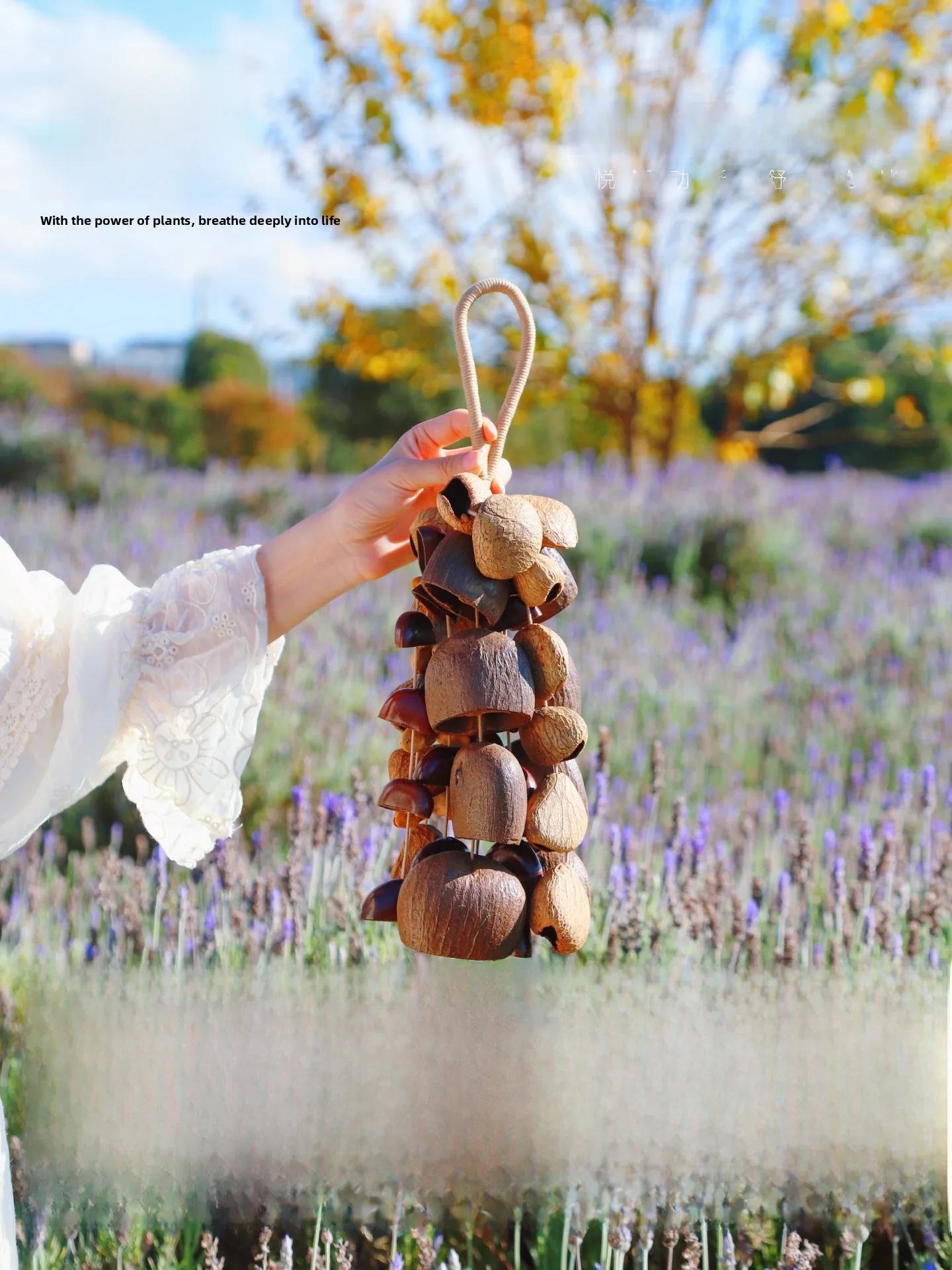 Natural Plant Seed  Bell Musical Instrument Sound Therapy Healing Music New Year Birthday Gift Forest Wild Fruit Shaking...