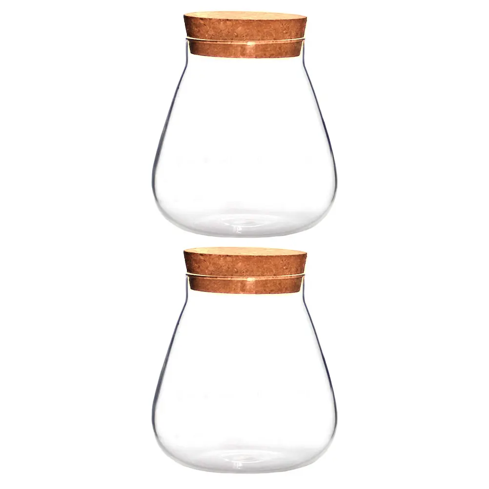 

2Pcs Ecological Bottle Clear Glass Sealing Jar Decorative Storage Pot Home Hotel Micro Landscape Vase Plant Nourishing Bottle
