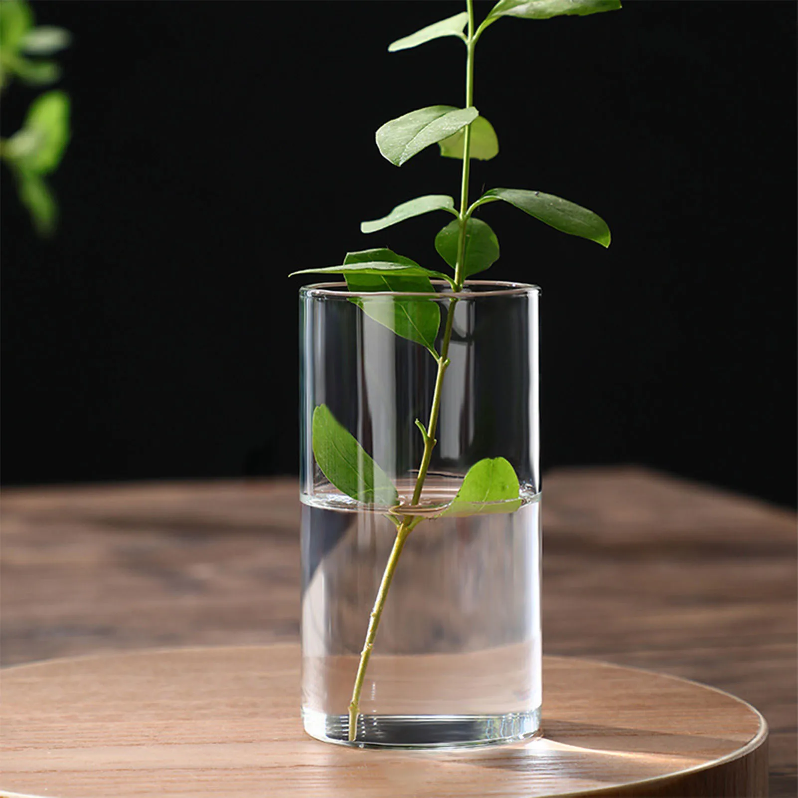 NONE Hydro po nische Blumenvase moderne kleine Zylinder blume Herzstück Vasen für Hochzeit Wohnzimmer dekorative Geschenk