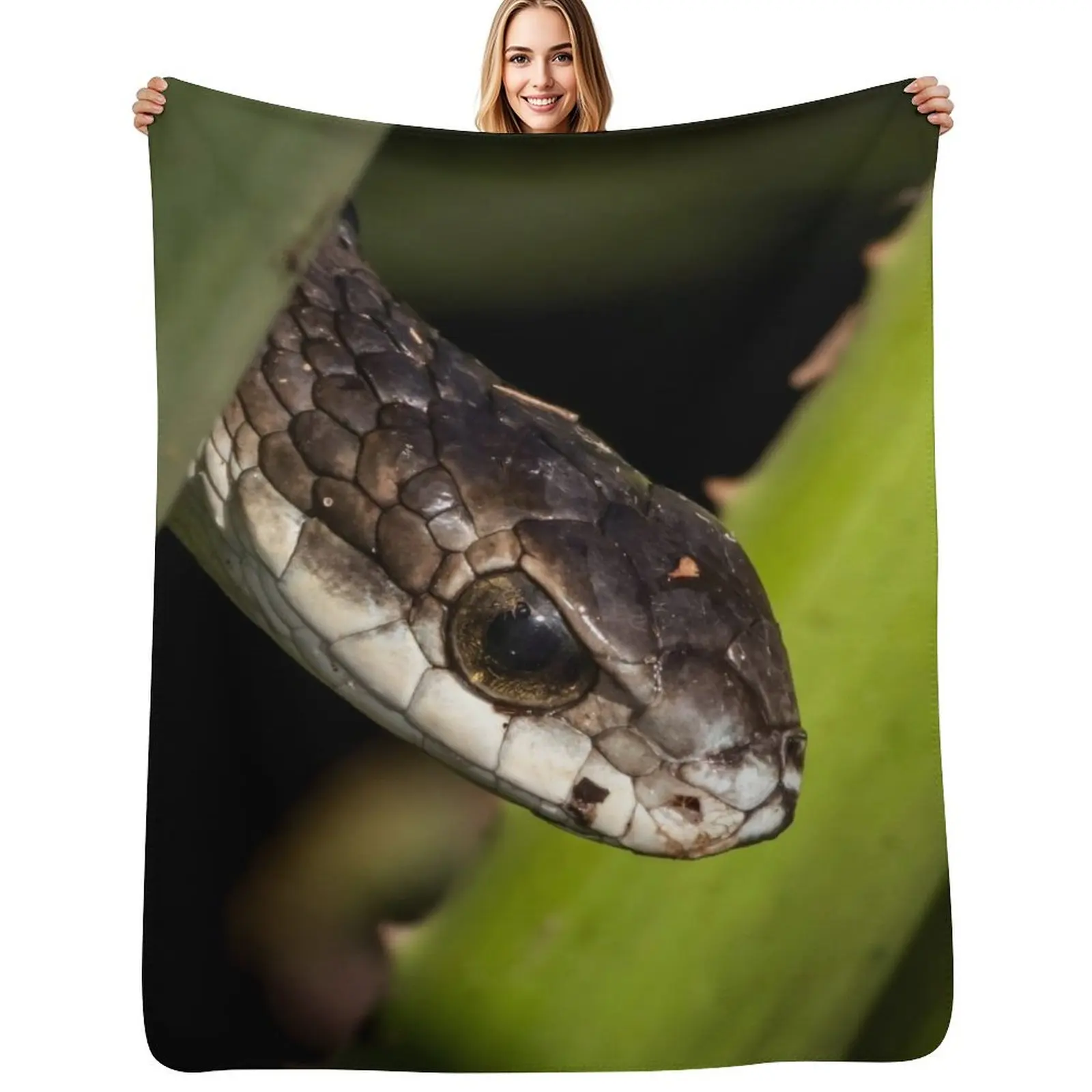 

Boomslang (Dispholidus typus) Throw Blanket christmas decoration Flannel Tourist Blanket