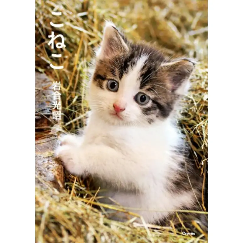 

Kineko Mitsuaki Iwai Clevis 9784909532930 Book