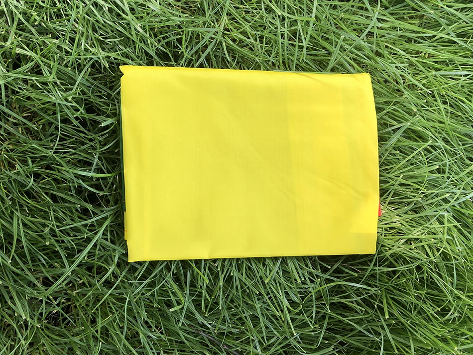 علم Benin الوطني 90x150 سنتيمتر 3x5ft بوليستر معلق لافتة علم Benin للديكور المنزلي الداخلي والخارجي #5