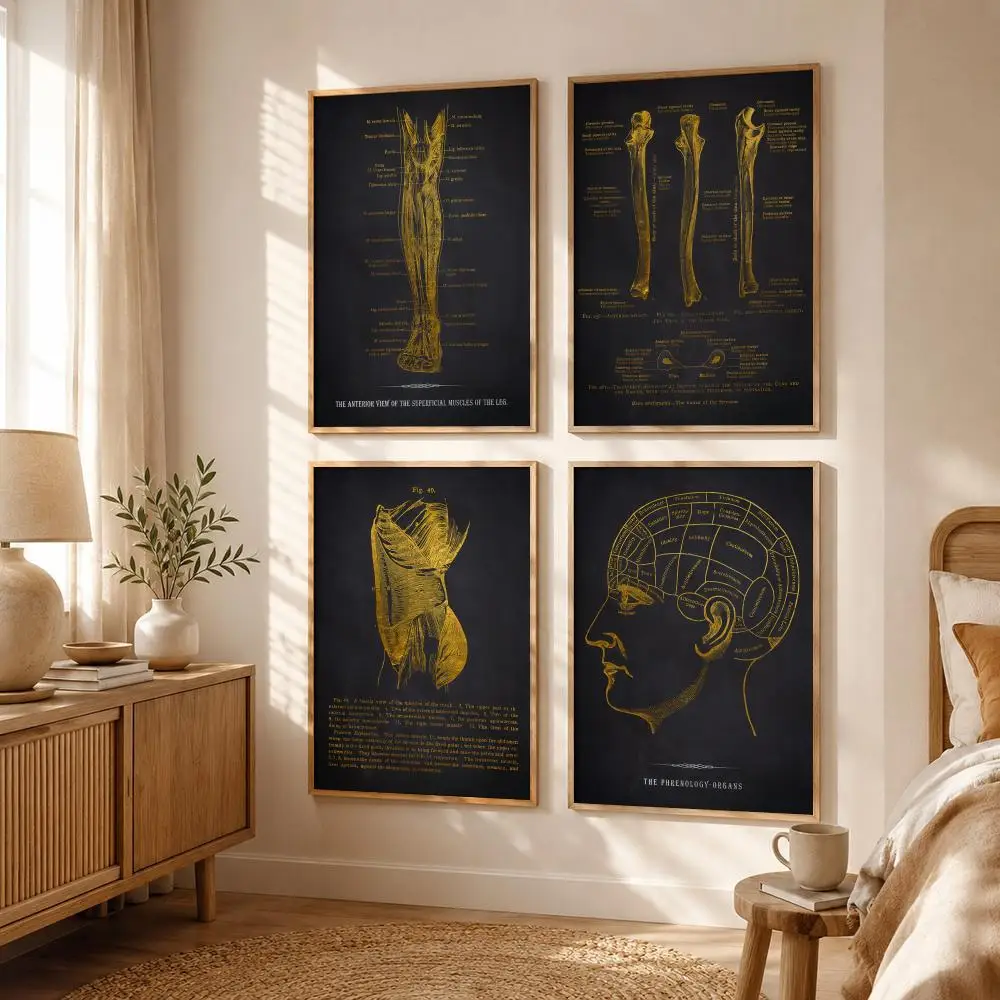 Anatomy Chart Human Body Poster All-match HD Waterproof Self-Adhesive Wall Art Sticker For Home Bedroom