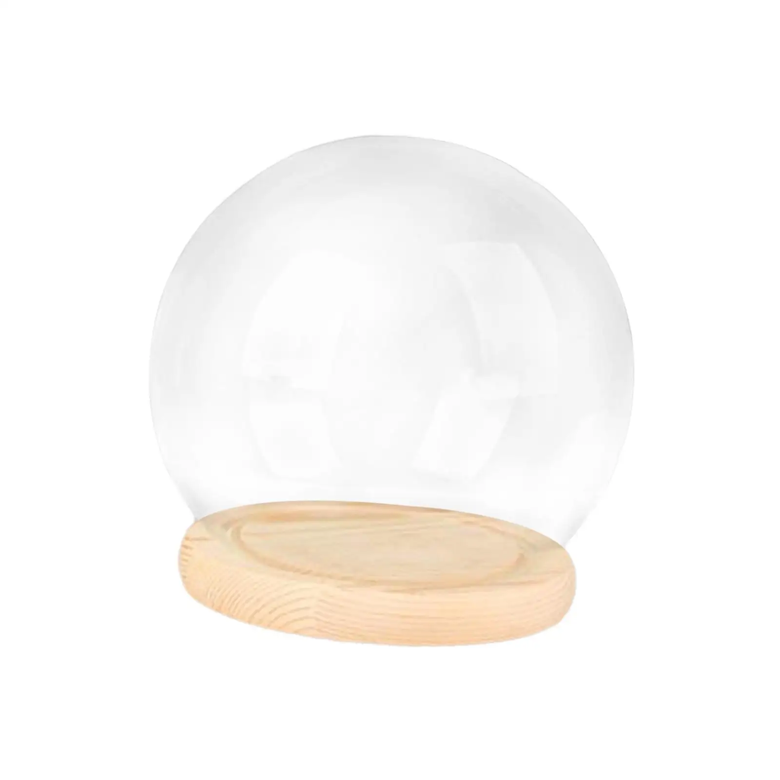 

Showcase Decorative Tabletop Bell Dome Glass Cloche Cover Dustproof Round Case for DIY Fairy Lights and Small Crafts