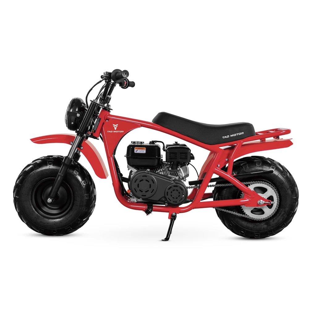 

Hot Selling Motor 2023 New Design Kids Petrol Mini Dirt Bike Mini Bike 200cc