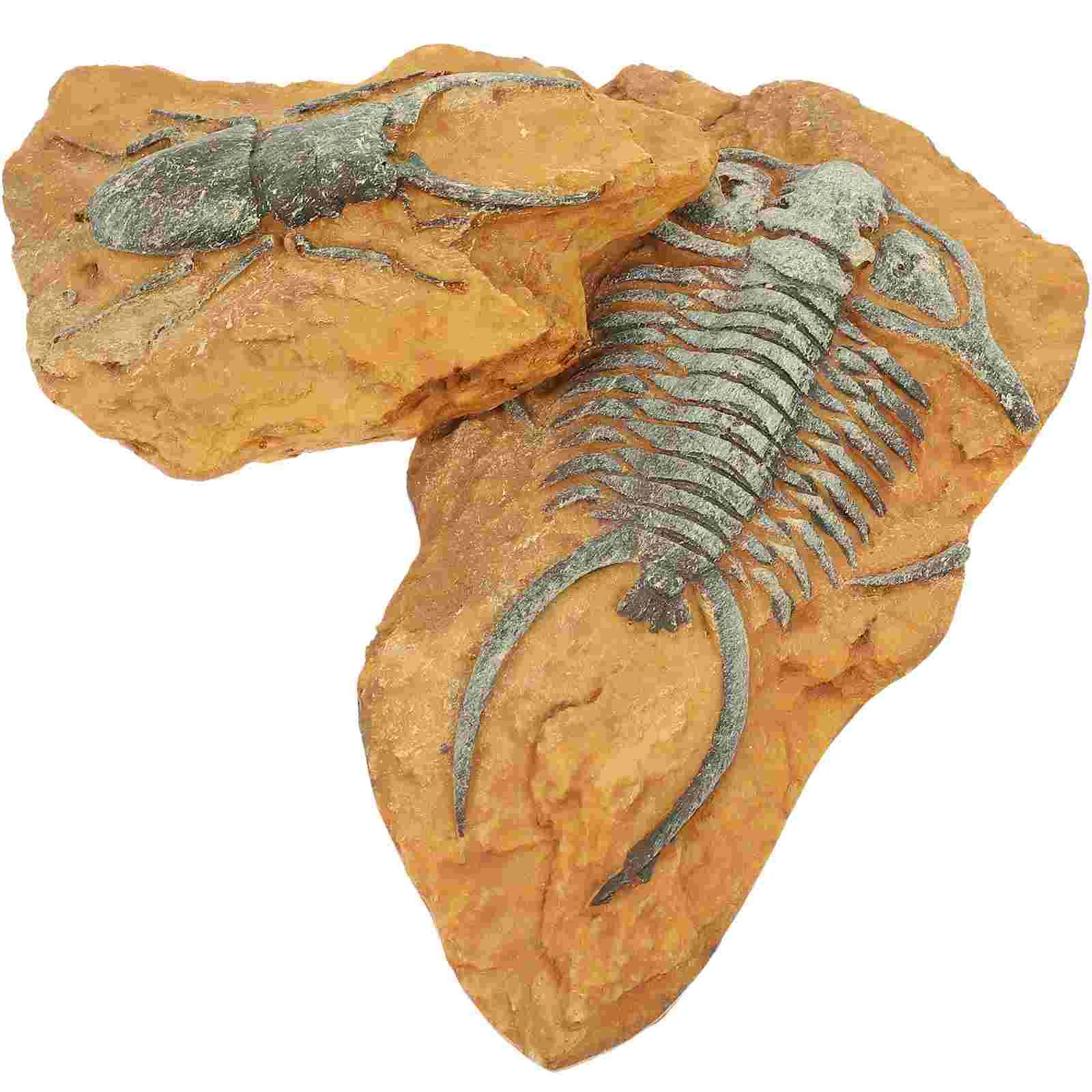 2 Pcs Simulated Resin Fossil Crawling Landscape Decorate Reptile Decors for Small Pet Simulation Terrarium Creative