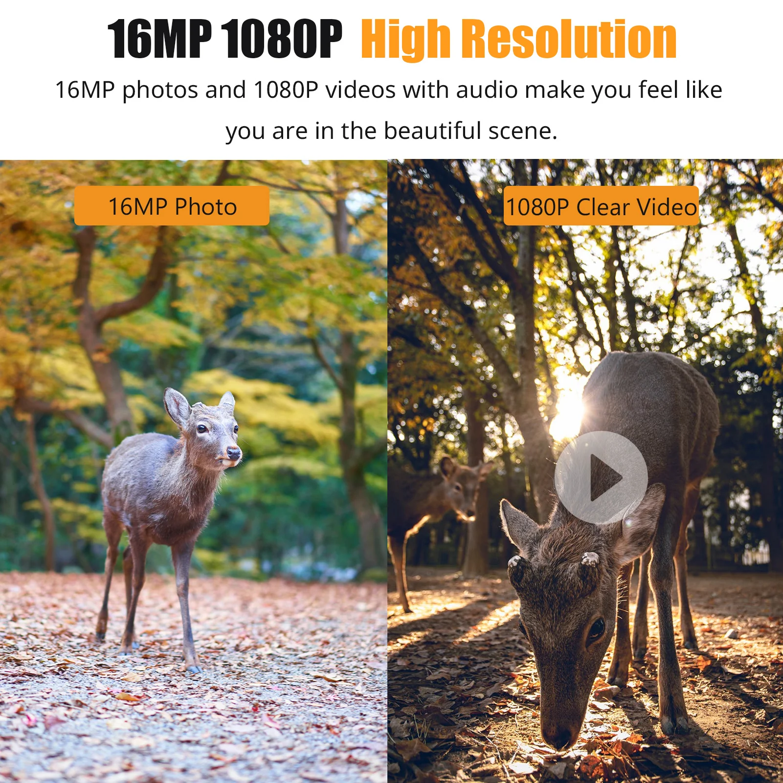 1080P Trail Game Camera With IR Night Vision Motion Detection IP66 Waterproof 0.6S Trigger Time And 2.4'' TFT Color Display