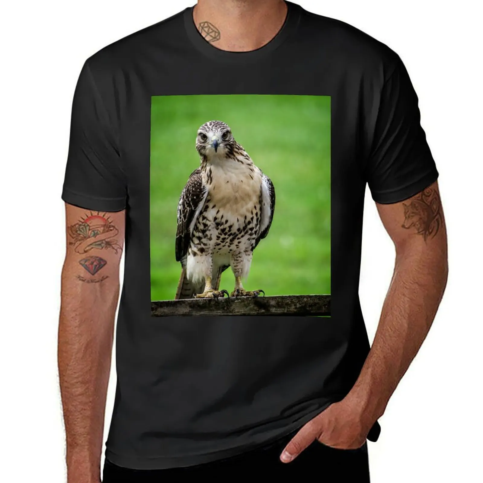 Beautiful Red Tail Hawk On A Railing T-Shirt customs design your own summer tops tops mens t shirts