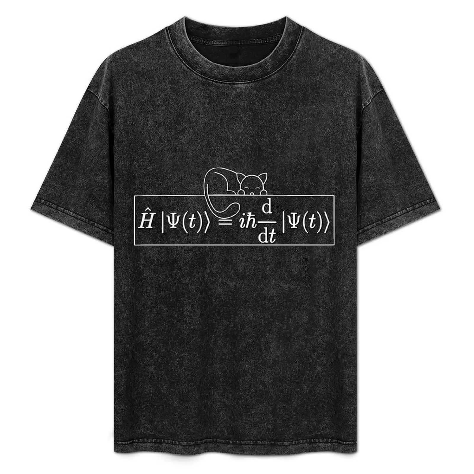 Schr?dinger equation and Schr?dinger cat T-Shirt kawaii clothes cute tops Aesthetic clothing mens designer clothes