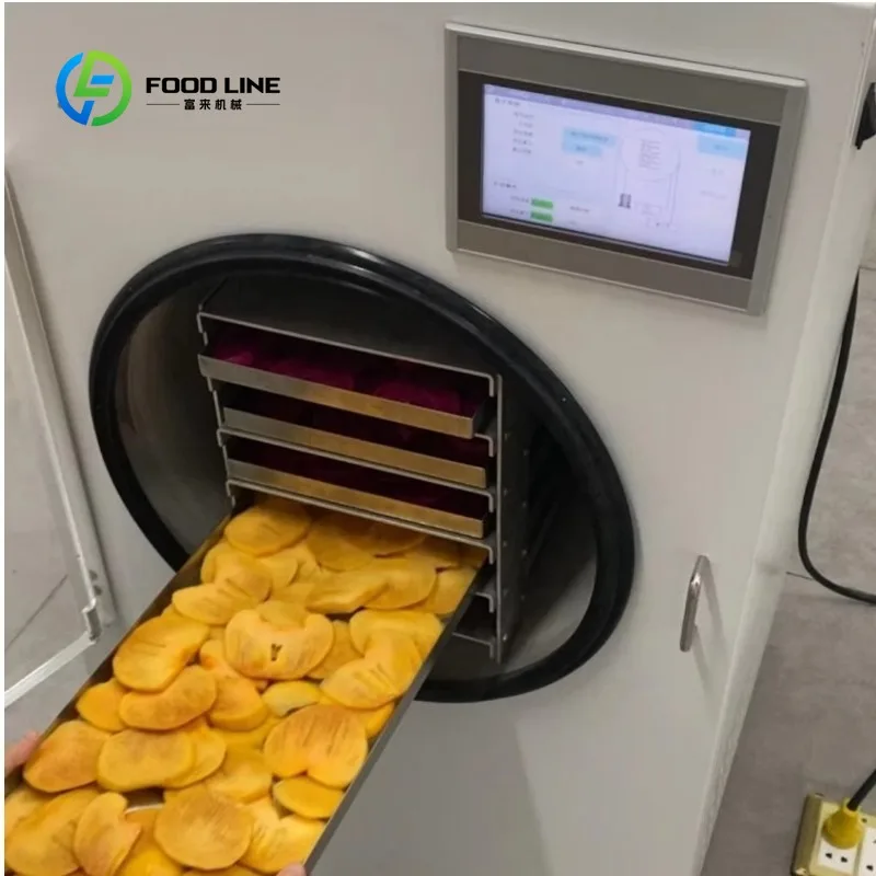 Custom made Freeze-dryer Mini Freeze Dryer for Home /lab Freeze Candy Dryer Machine