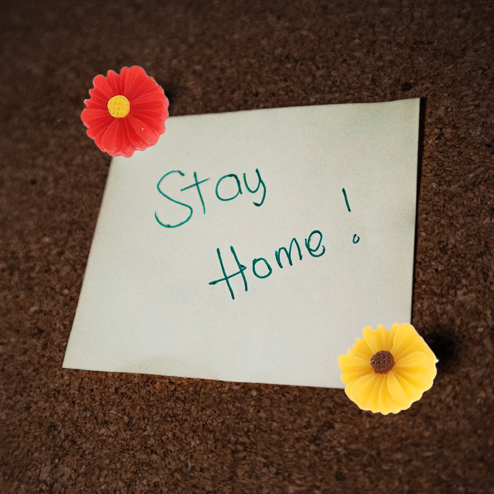 30 قطعة دبابيس دفع على شكل زهرة قابلة لإعادة الاستخدام مسامير الإبهام للمنزل مكتب خريطة دبابيس الزخرفية الاستخدام اليومي دبابيس دفع صغيرة #4