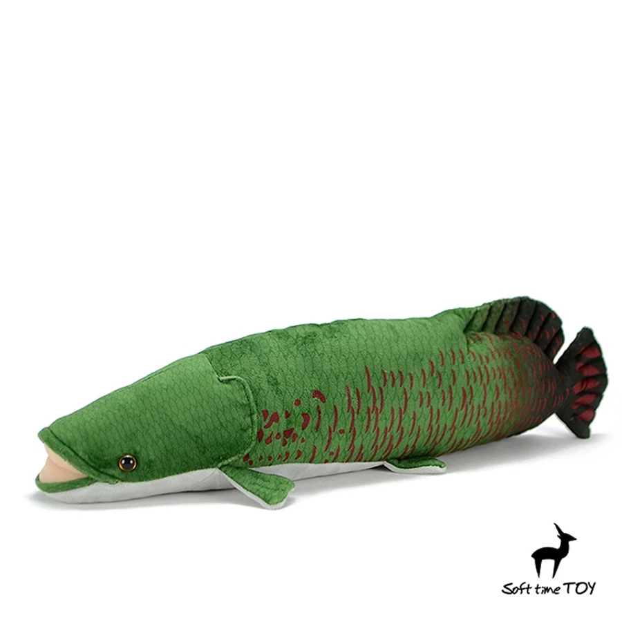 Giant Arapaima Giga… - image