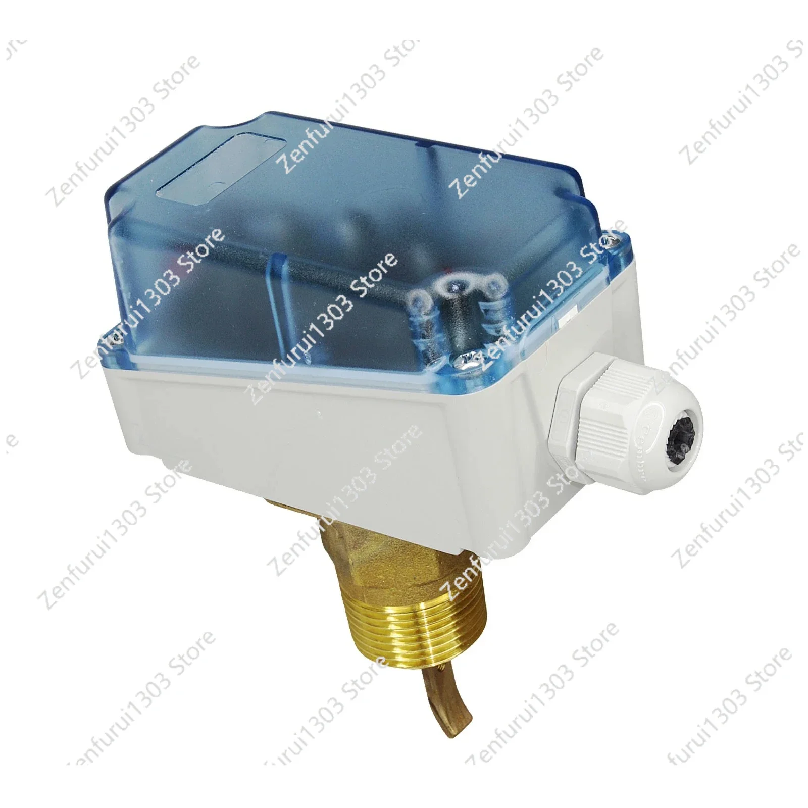 

New Original S6065A1003 Liquid Flow Switch Paddle flow switches for liquid 11 BAR IP55(4 weeks ))