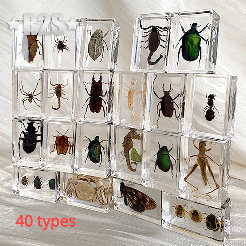 

40 Pcs a lot Insect in Resin Specimen Bugs Collection Paperweights Arachnid Resin Spec decoration home accessories in random