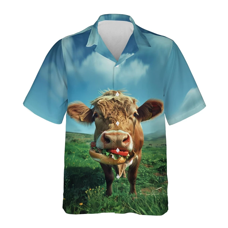 Shirts-SZF54114