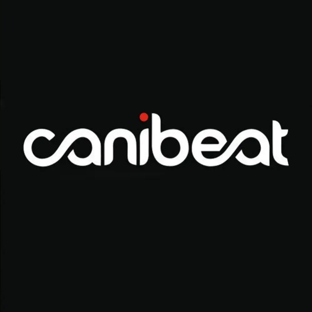 Крутая декоративная наклейка Canibeat, автомобильное окно, переднее ветровое стекло, автомобильный декор для мотоцикла