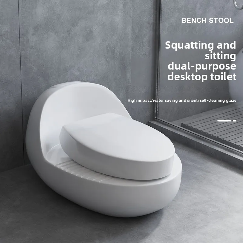 Sitting To Squat Converter Toilet Seat Overlying Pedestal No Dig Installation Bathroom Renovation