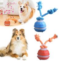 Interactive Dog Toy Ball with Rope Electronic Motion Activated Rolling Ball for Indoor Cat Dog Play Toys for Puppy Training Ball
