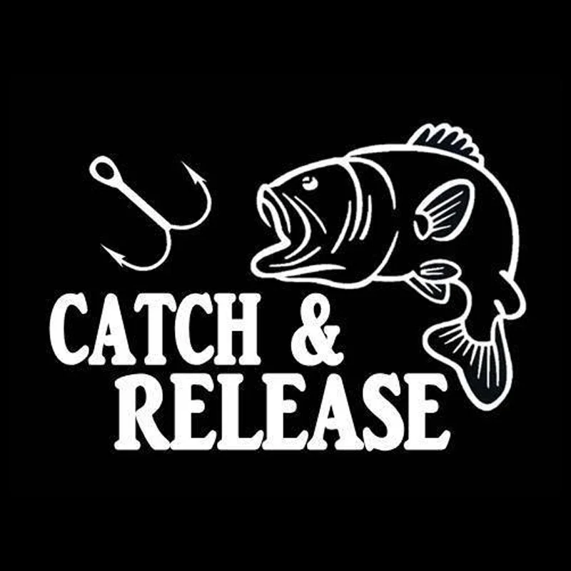 ملصق مصد نافذة سيارة على شكل سمكة ، ملصق سيارة فينيل مقاوم للماء ، إكسسوارات دراجة نارية ، 18x12.3cm