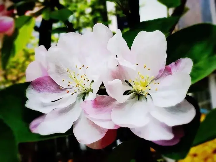 

FOR WLtoys 1/14 144001 144010 144002 1/12 124017 124019 124018 124010 1/14 1/18RC Car Metal Wheel hub tire coupling M4 nut spar