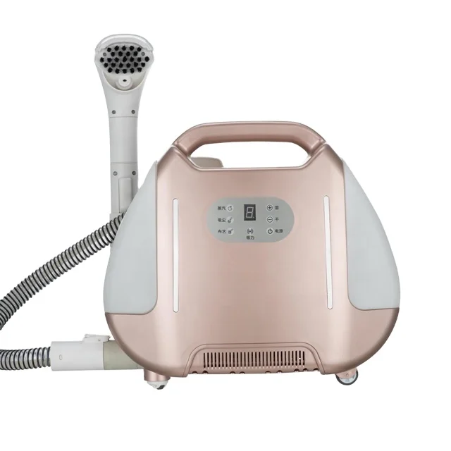 High Temperature Steam Cleaning Machine 6-Speed Adjustable Fabric Cleaner for Carpet, Curtain & Upholstery, CE Certified