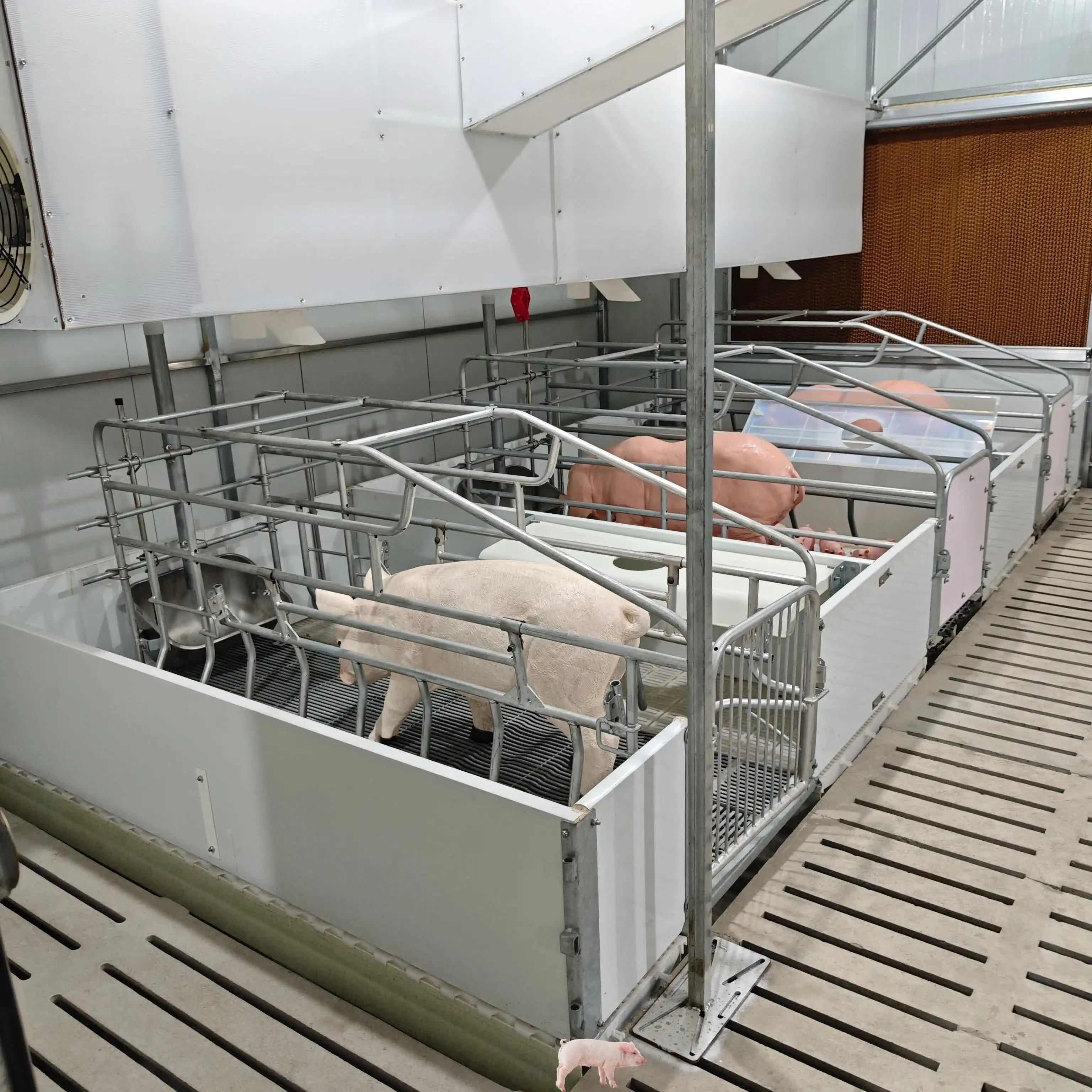 

for-High-quality Farm Sow Delivery Bed Pig Farrowing Crate Durable Hot-dip Galvanized Composite Equipment*