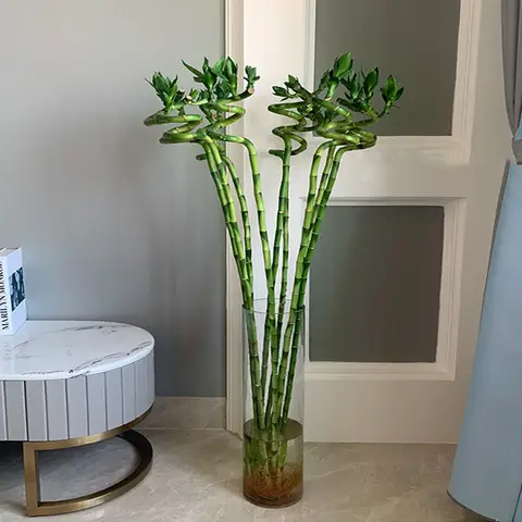 Plantas artificiales de bambú de la suerte, plantas falsas para decoración de Acuario, pecera, jardín, sala de estar al aire libre, Hogar en maceta, 110cm, 2 unidades