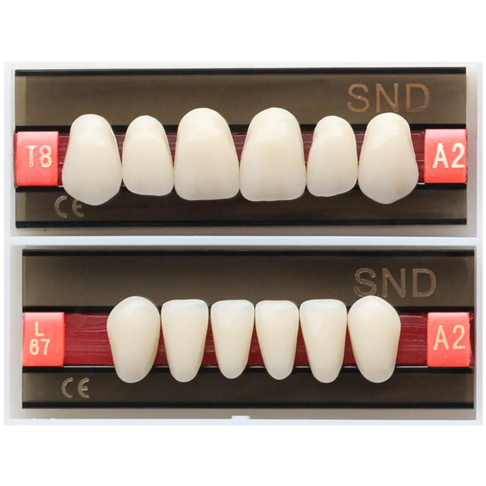 A2 Shade Dental Acrylic Synthetic Resin Teeth Whitening Two-Layer Denture Full Mouth Fake Oral Care False U/L Anterior Posterior